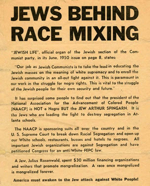 Jews Behind Race Mixing and NAACP