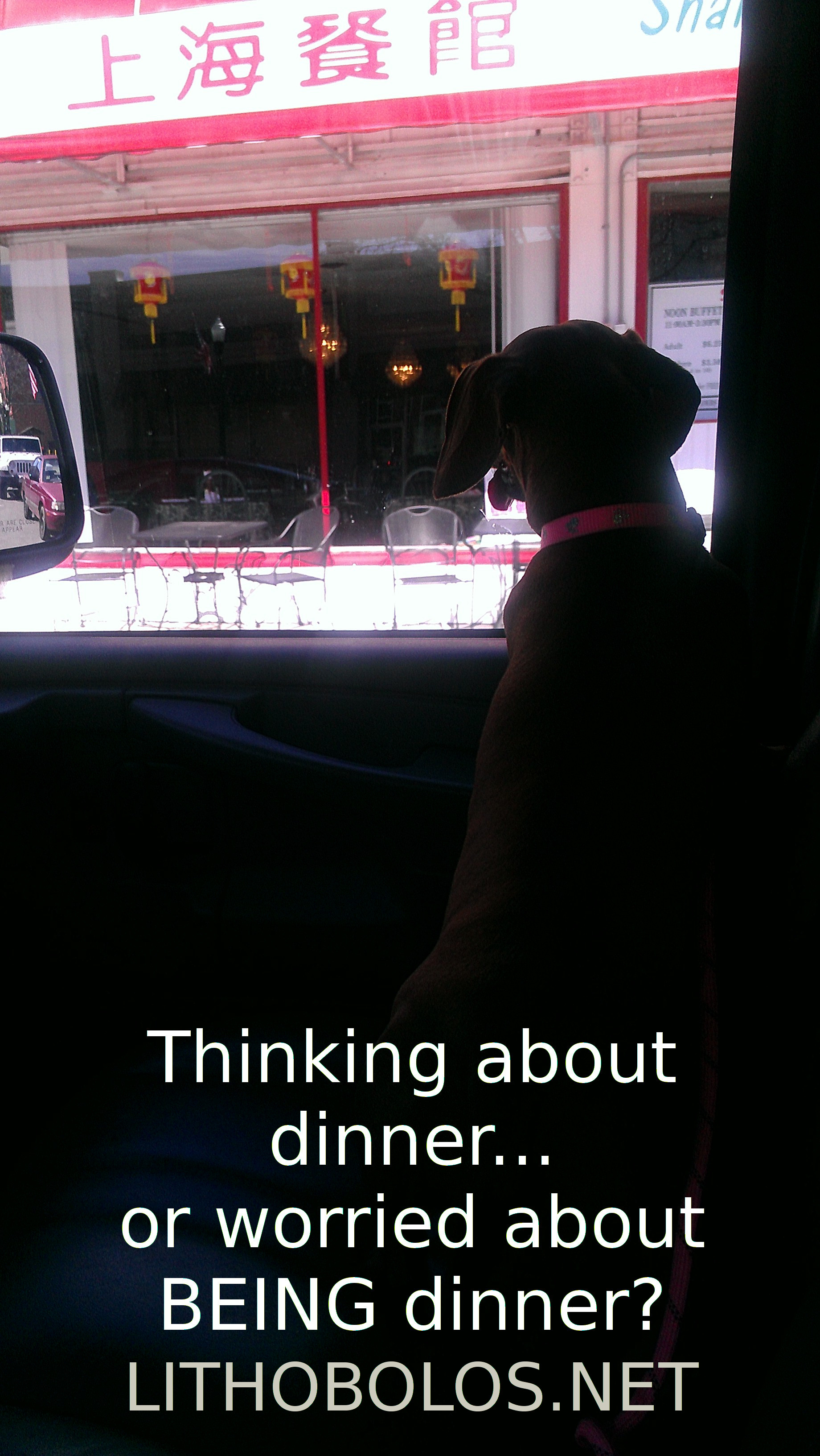 Prissy, our dachshund, on a van ride in 2013.